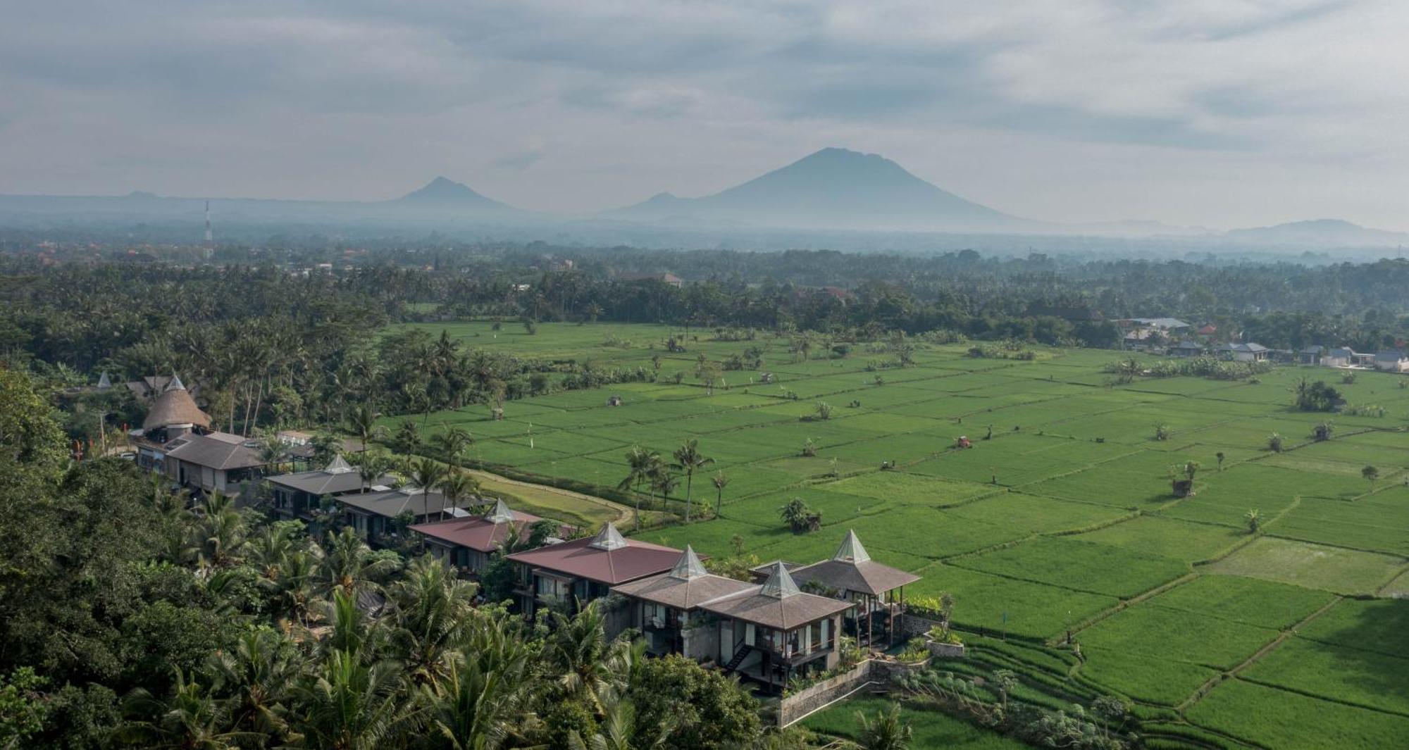 Gdas Bali Health And Wellness Resort - Adult Only Ubud Exteriör bild