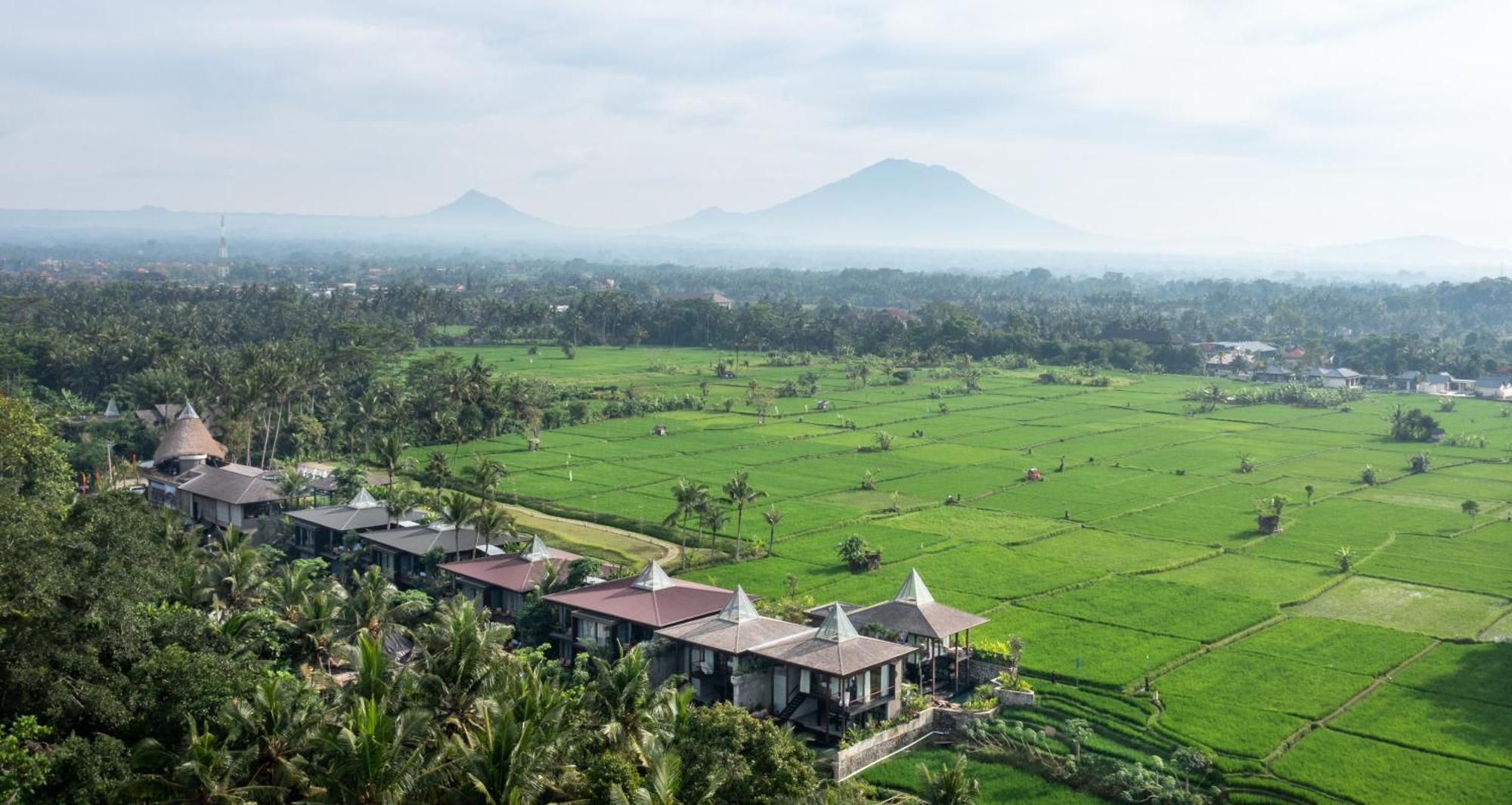 Gdas Bali Health And Wellness Resort - Adult Only Ubud Exteriör bild